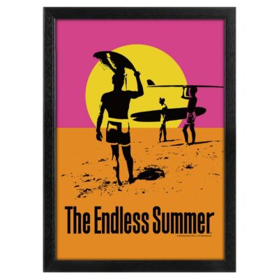 額入り映画ポスター ブルース・ブラウン The Endless Summer 